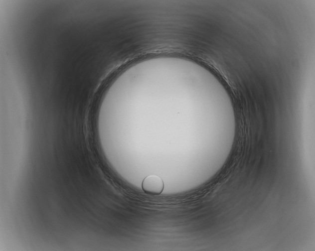 X0000116580688200912101310