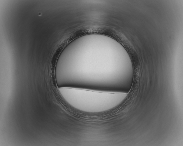 X0000116580691200912101310