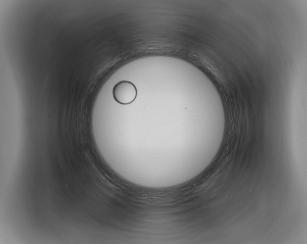 X0000116580692200912101310