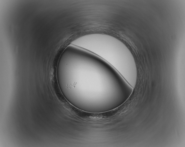 X0000116580693200912101310