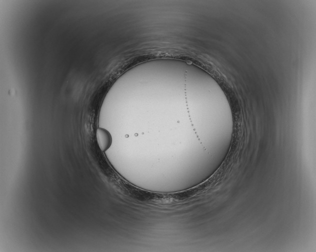 X0000116580695200912101310