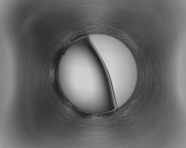 X0000116580697200912101310
