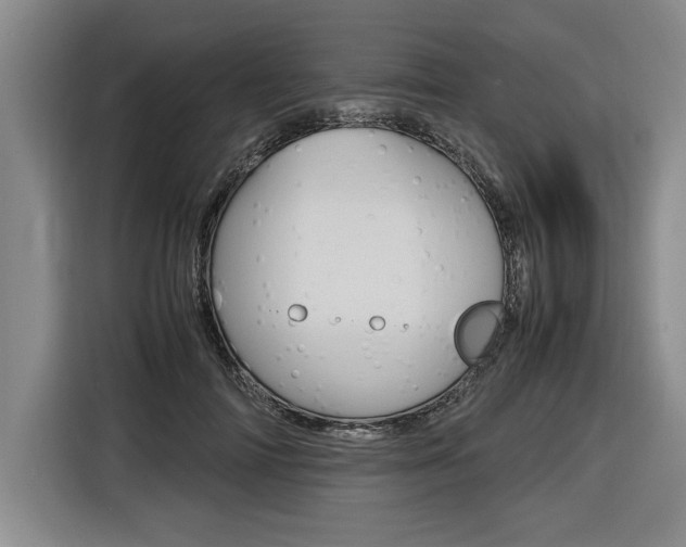 X0000116580698200912101310