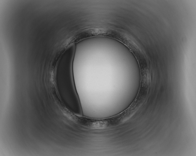 X0000116580700200912101310