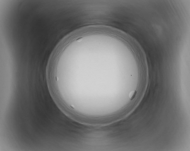 X0000116580701200912101310