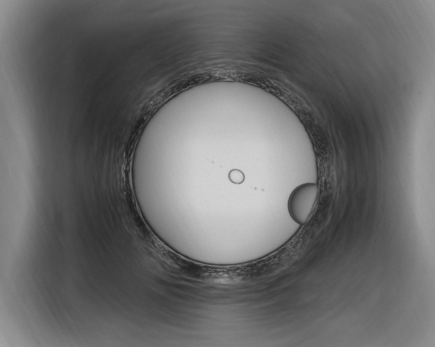 X0000116580702200912101310