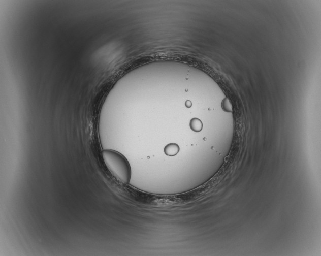 X0000116580703200912101310