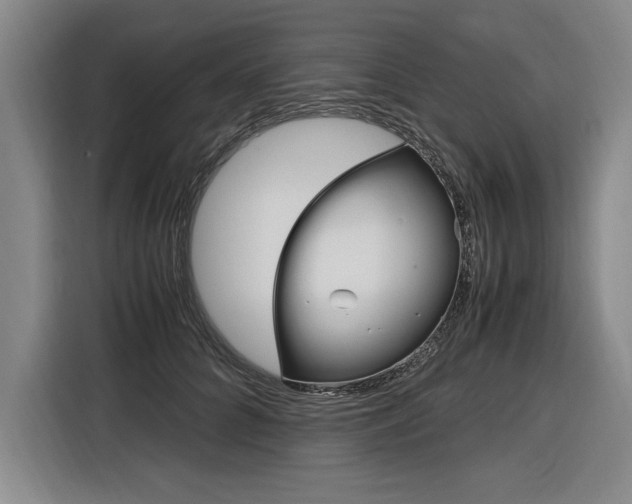 X0000116580704200912101310