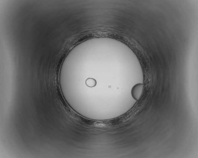 X0000116580706200912101310