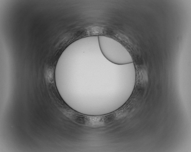X0000116580709200912101309