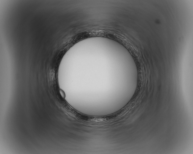 X0000116580711200912101309
