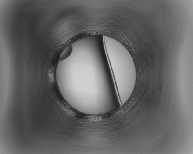 X0000116580719200912101309