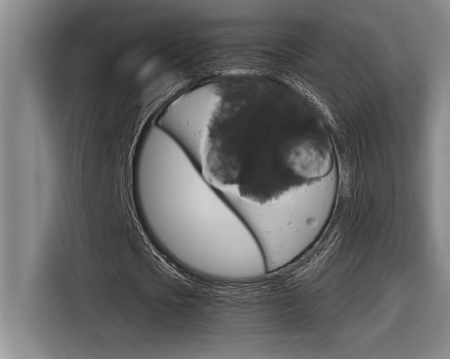 X0000116580721200912101309