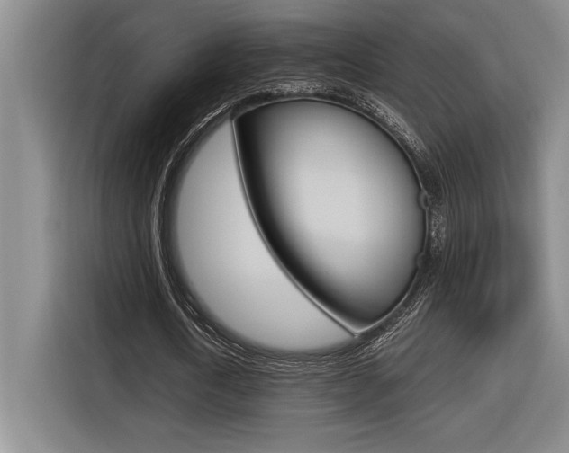 X0000116580722200912101309