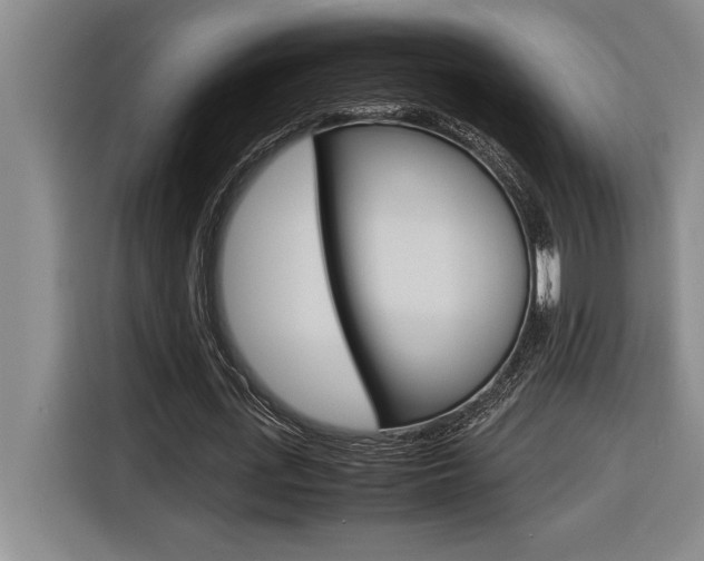 X0000116580723200912101309