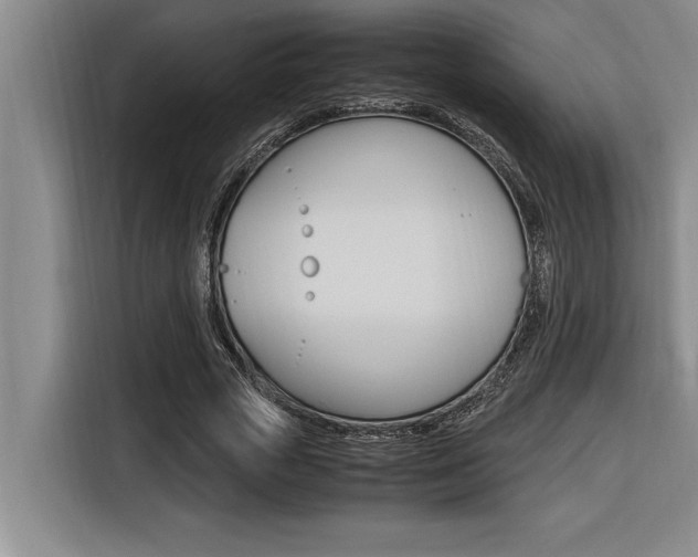 X0000116580729200912101309