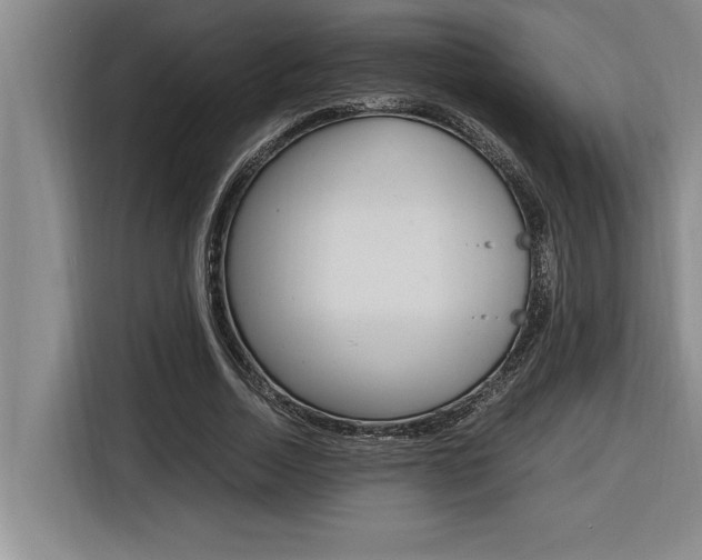 X0000116580730200912101309