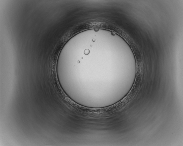 X0000116580737200912101309
