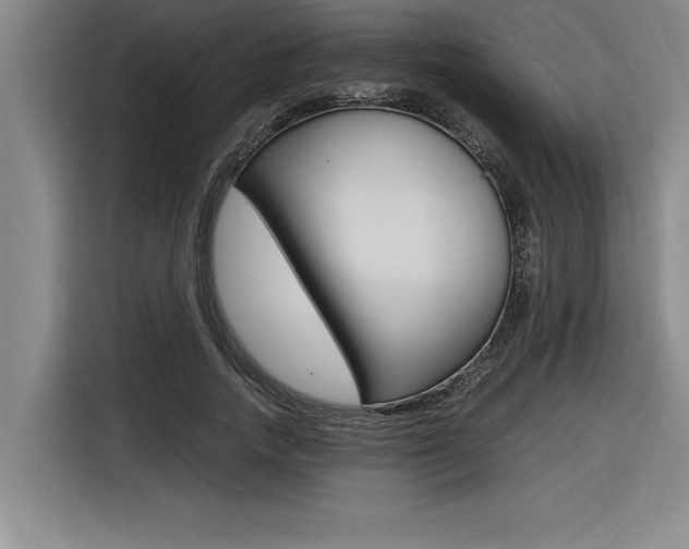 X0000116580738200912101309