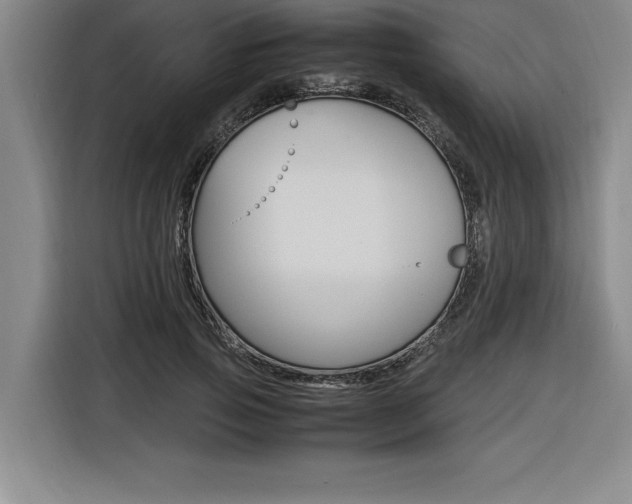 X0000116580741200912101309