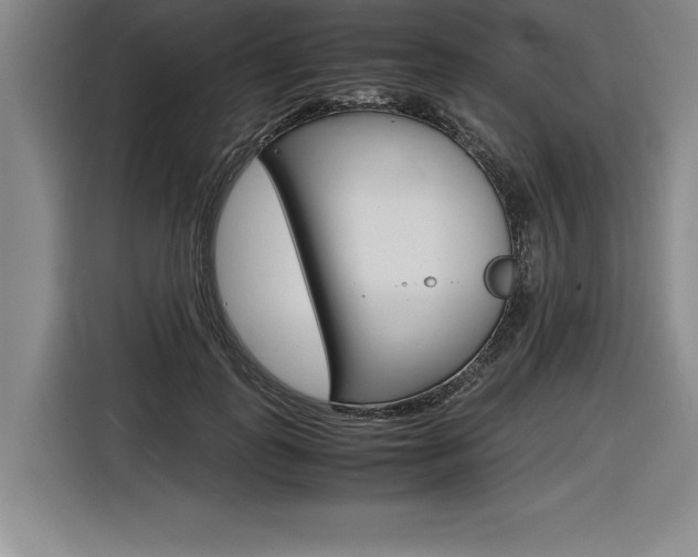X0000116580747200912101309