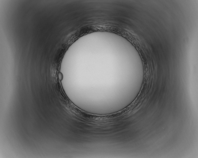 X0000116580749200912101309