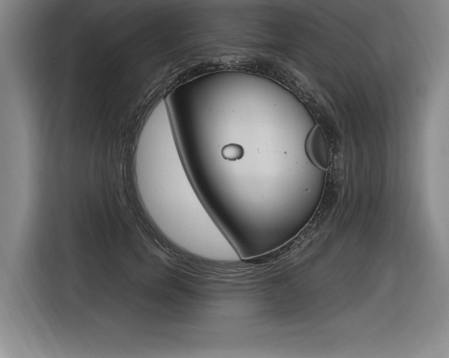 X0000116580750200912101309