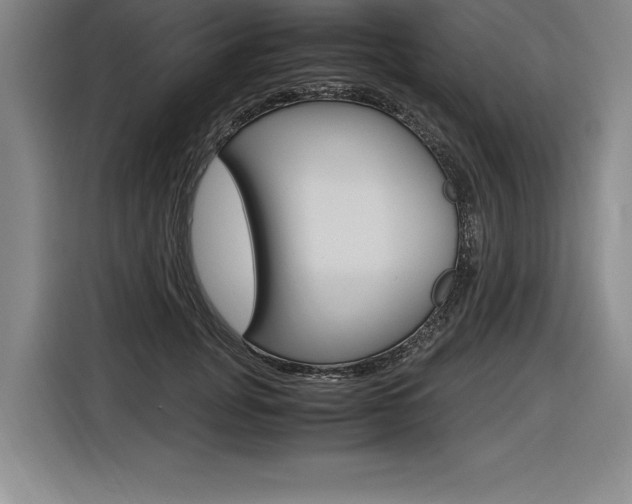 X0000116580751200912101309