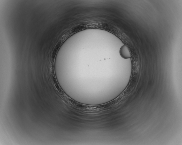 X0000116580753200912101309
