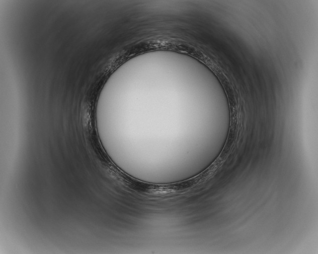X0000116580754200912101309