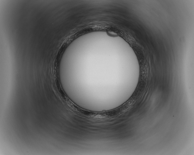 X0000116580755200912101309