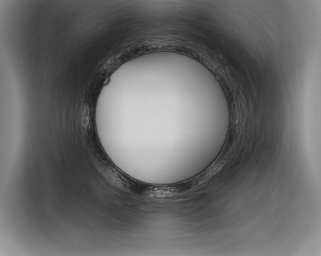 X0000116580758200912101309