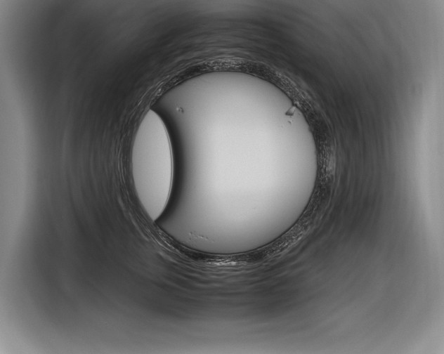 X0000116580759200912101309