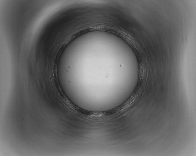 X0000116580762200912101309