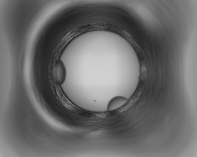 X0000116580765200912101309