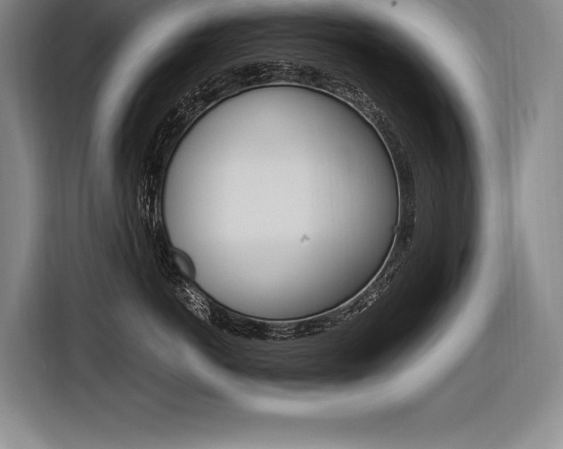 X0000116580766200912101309
