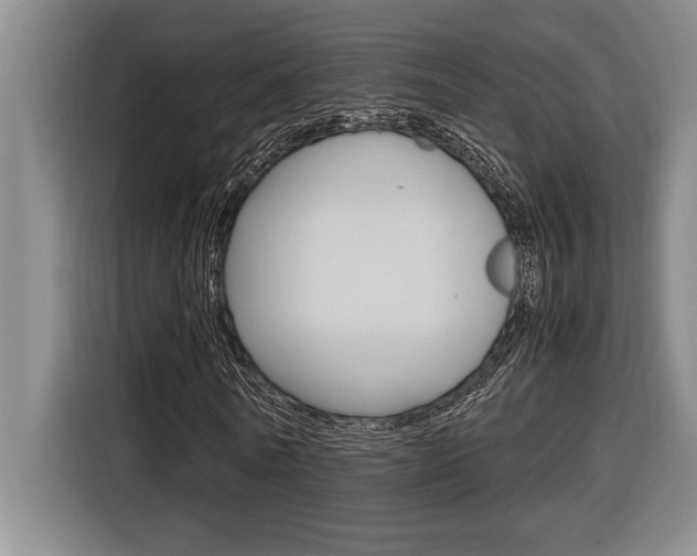 X0000116580770200912101309