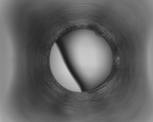 X0000116580772200912101309