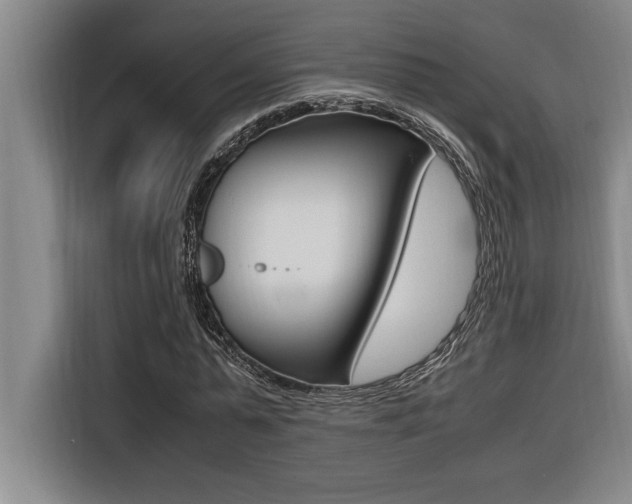 X0000116580775200912101309