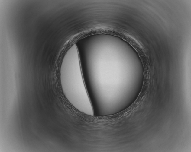 X0000116580776200912101309