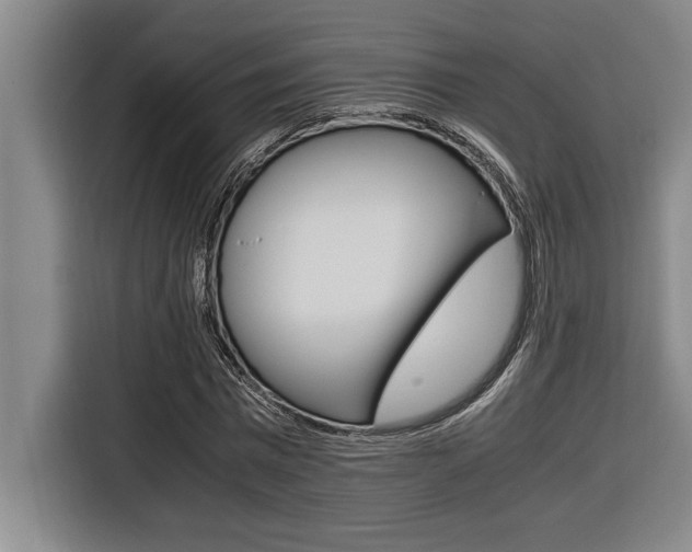 X0000116580777200912101309