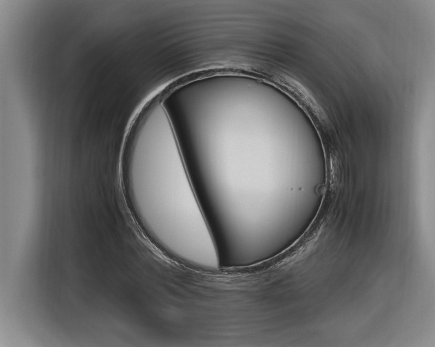 X0000116580780200912101308