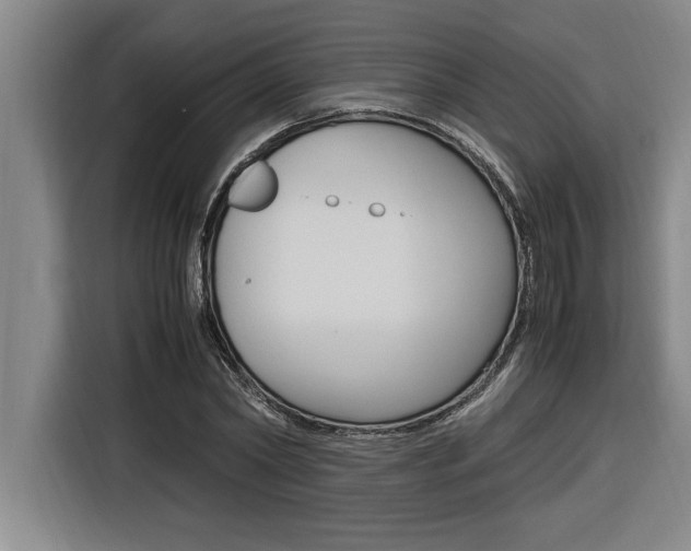 X0000116580782200912101308