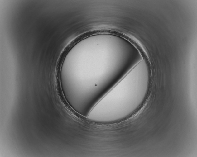 X0000116580783200912101308