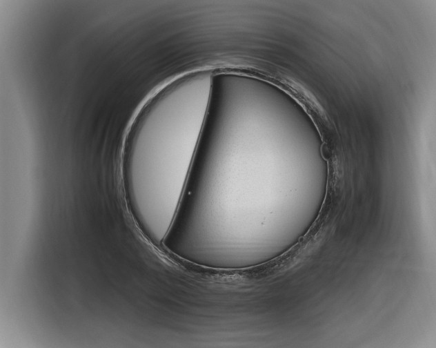 X0000116580784200912101308