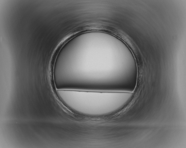 X0000116580787200912101308