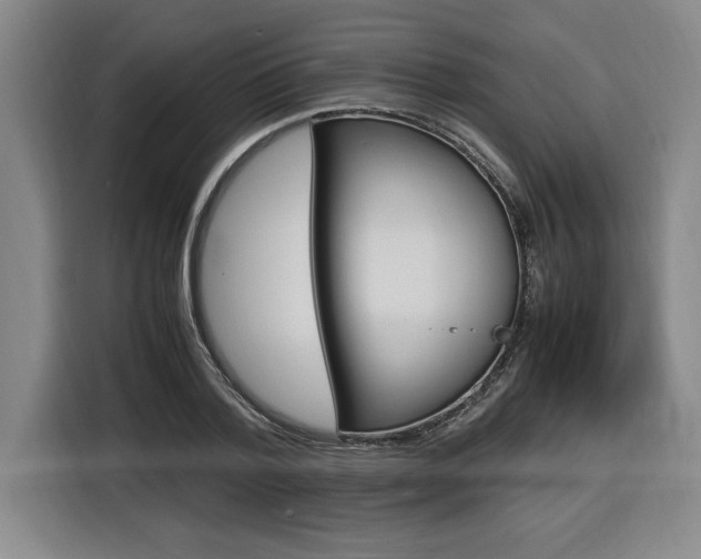 X0000116580788200912101308