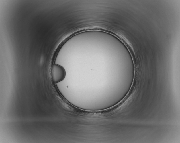 X0000116580789200912101308