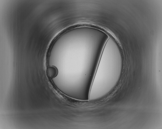 X0000116580791200912101308