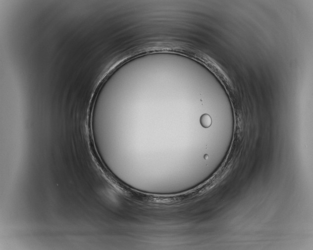 X0000116580794200912101308